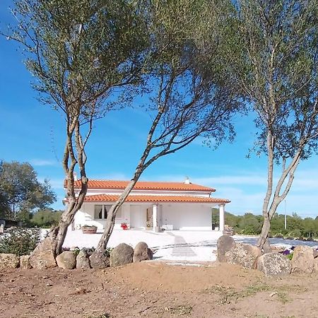 Casa Vacanze Olbia - Alebea - Exterior photo