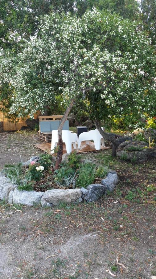 Casa Vacanze Olbia - Alebea - Exterior photo
